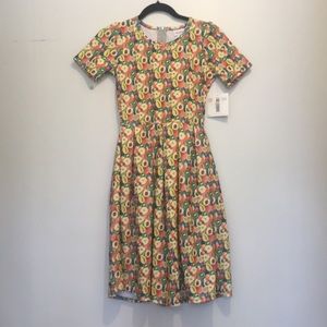 LulaRoe XS fruit salad colorful rainbow pride Amelia dress NEW